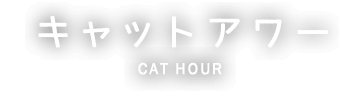 キャットアワー
