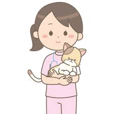 animal-nurse-cat-harbor-thumbnail