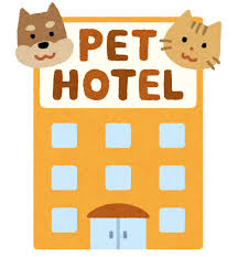 pet_building_hotel