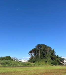 377e2d6d-469b-44e6-baa9-784c58f4d103